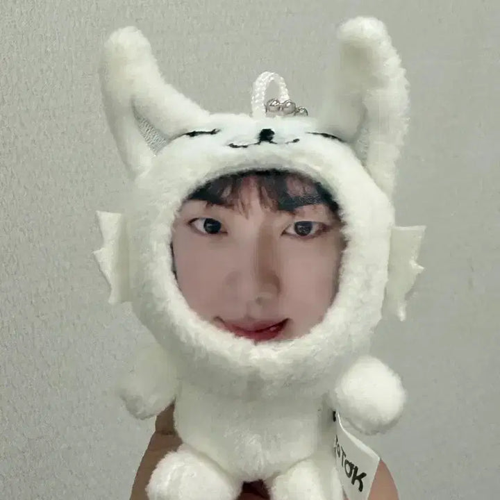 [SOLD OUT] 방탄소년단 BTS 진 석진 jin 포토톡 인형 키링 ㅅㅊ 해피 에코 포카