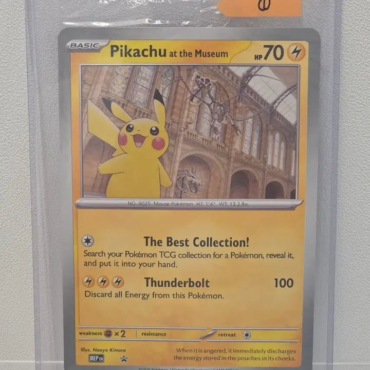 [BUNJANG] London Museum Pikachu Jumbo Promo Card Set / 런던 뮤지엄 피카츄 점보 프로모 6장 랏