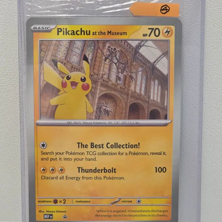 [BUNJANG] London Museum Pikachu Jumbo Promo Card Set / 런던 뮤지엄 피카츄 점보 프로모 6장 랏