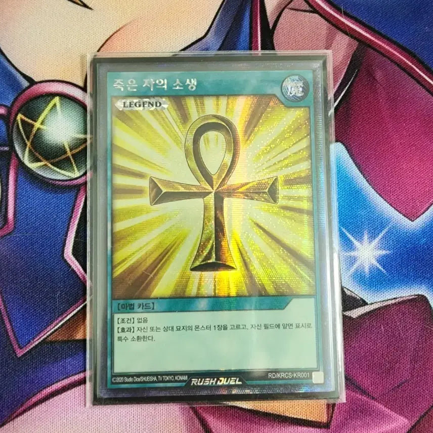 [BUNJANG] Rush Duel Card &
