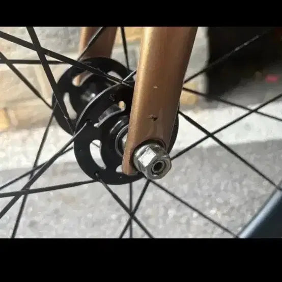 [BUNJANG] Engine11 Golden Chaos Frameset / Complete Bike / 엔진11 골든카오스 판/대