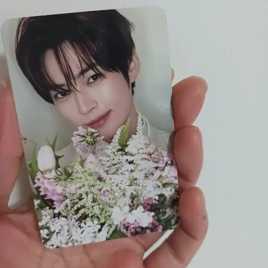 [SOLD OUT] 제베원 성한빈 리플로우 세트