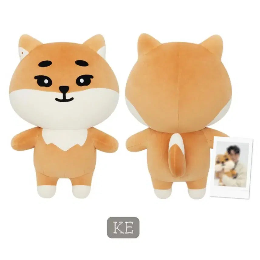 [SOLD OUT] [새상품] 데이식스 자이언트 데니멀즈 자멀 케