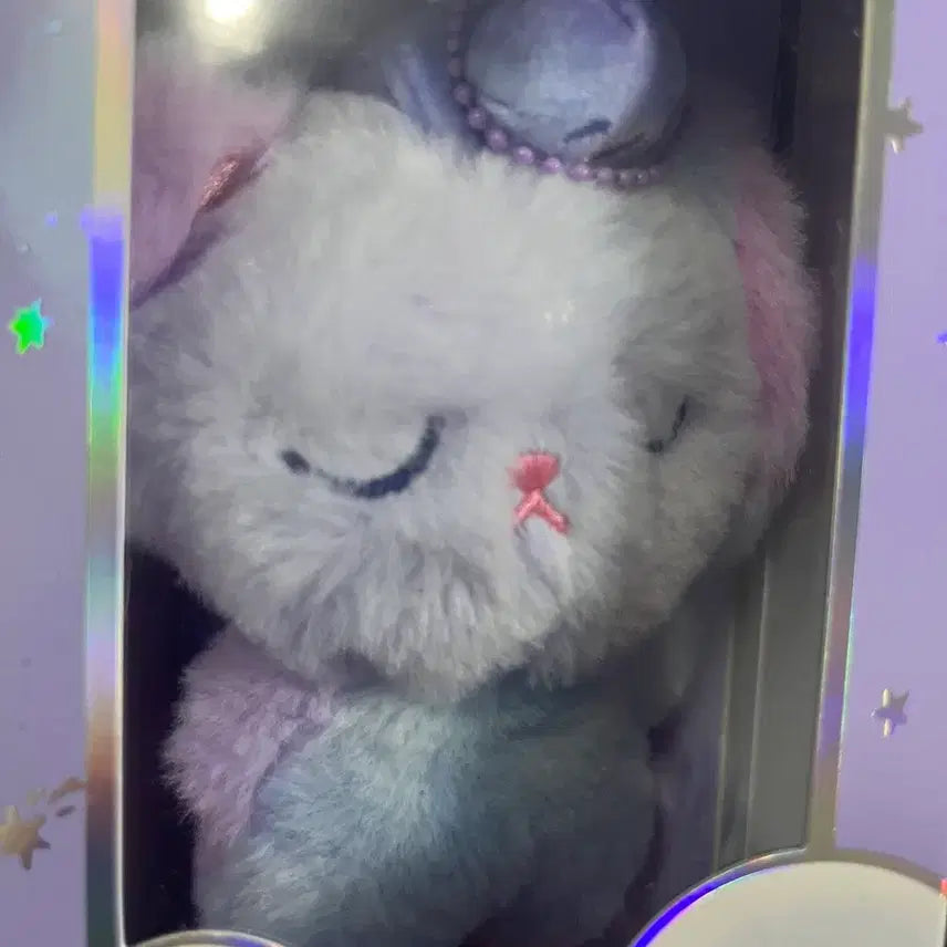 [SOLD OUT] 라이즈 보이스키링 토냥덕 위버스B버전