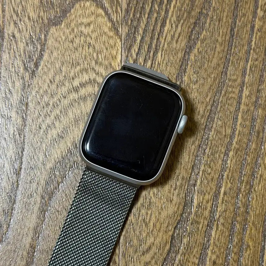 [BUNJANG] Apple Watch SE 1st Gen Silver / 애플워치 se1 실버