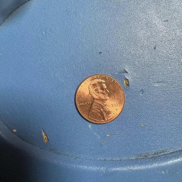 [BUNJANG] 2025 Penny Last Year Low Mintage Coin / 2025 페니 마지막 년도 낮은 발행량