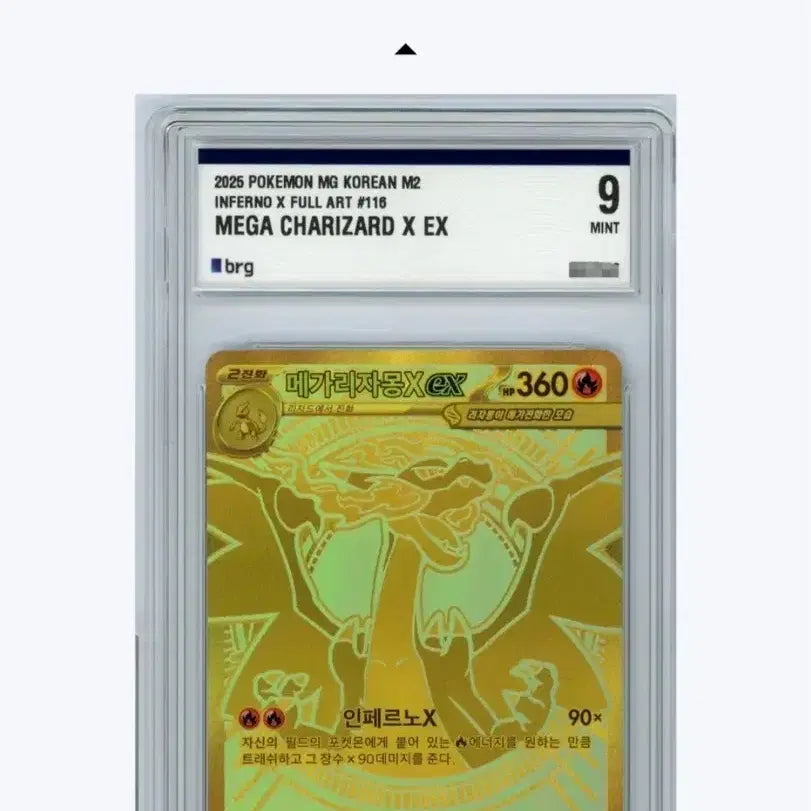 [BUNJANG] Mega Charizard X Mur BRG9 / 메가리자몽x mur brg9