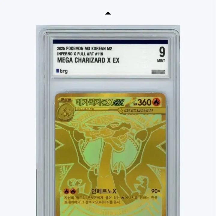 [BUNJANG] Mega Charizard X Mur BRG9 / 메가리자몽x mur brg9