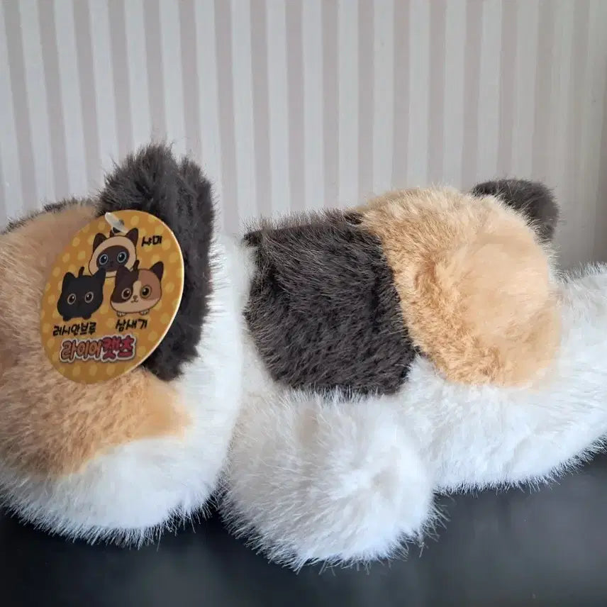 [BUNJANG] Liar Cats Calico Cat Medium Plush New / 라이어캣츠 삼색이 고양이 중형인형  새상품