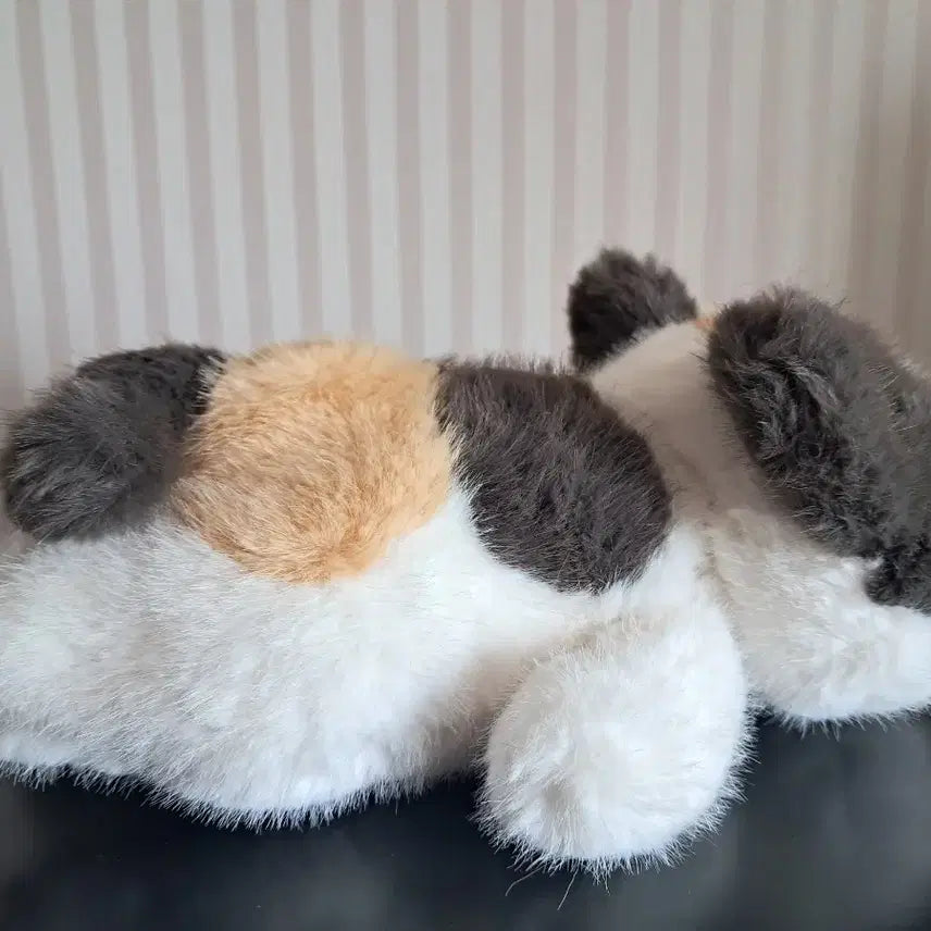 [BUNJANG] Liar Cats Calico Cat Medium Plush New / 라이어캣츠 삼색이 고양이 중형인형  새상품