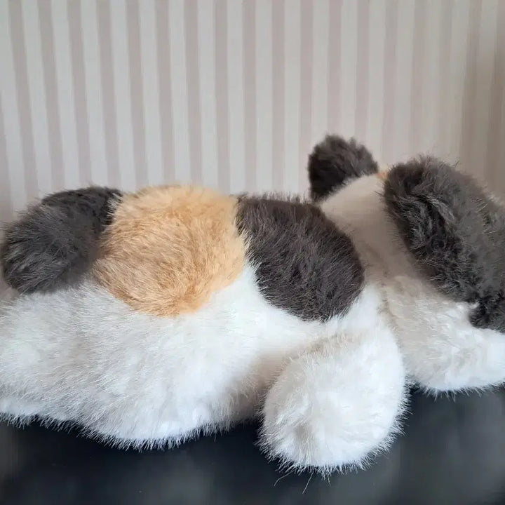 [BUNJANG] Liar Cats Calico Cat Medium Plush New / 라이어캣츠 삼색이 고양이 중형인형  새상품