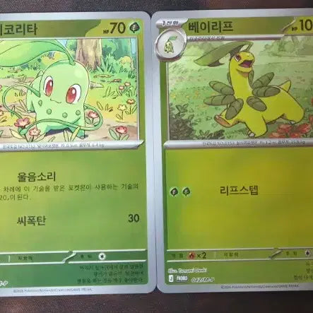 [BUNJANG] Pokemon Card Meganium EX, Delphox EX Set Bundle / 포켓몬 카드 메가메가니움ex, 메가염무왕ex 세트 일괄 판매합니다.