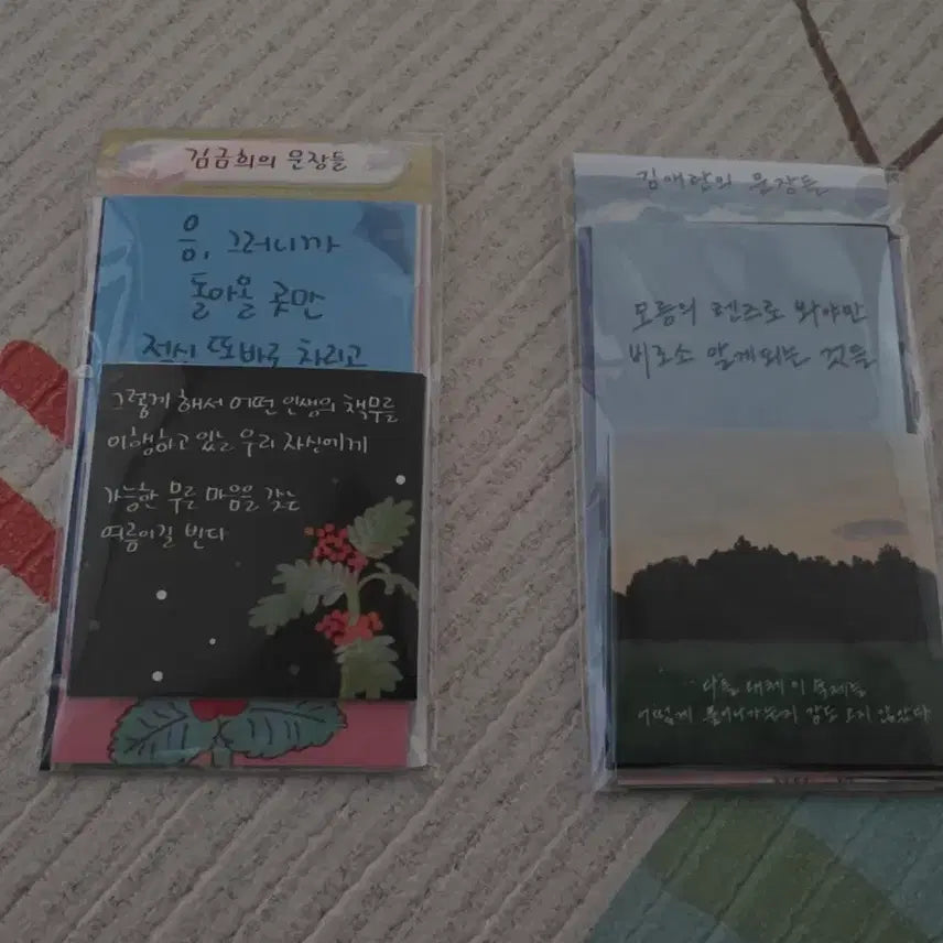 [BUNJANG] Sentences by Kim Geum-hee, Sentences by Kim Ae-ran / 김금희의 문장들, 김애란의 문장들