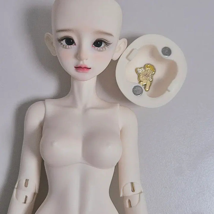 [BUNJANG] MSD Size Ball-Jointed Doll (BJD) / 구체관절인형 MSD 사이즈 구관