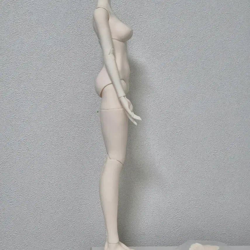 [SOLD OUT] 철컴된 msd 사이즈 바디 구관 바디 구체관절인형 몸