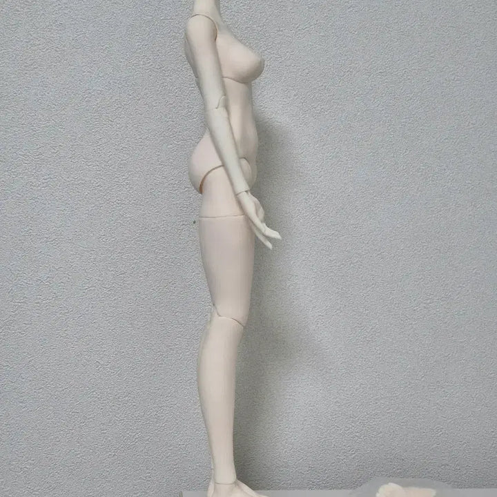 [SOLD OUT] 철컴된 msd 사이즈 바디 구관 바디 구체관절인형 몸