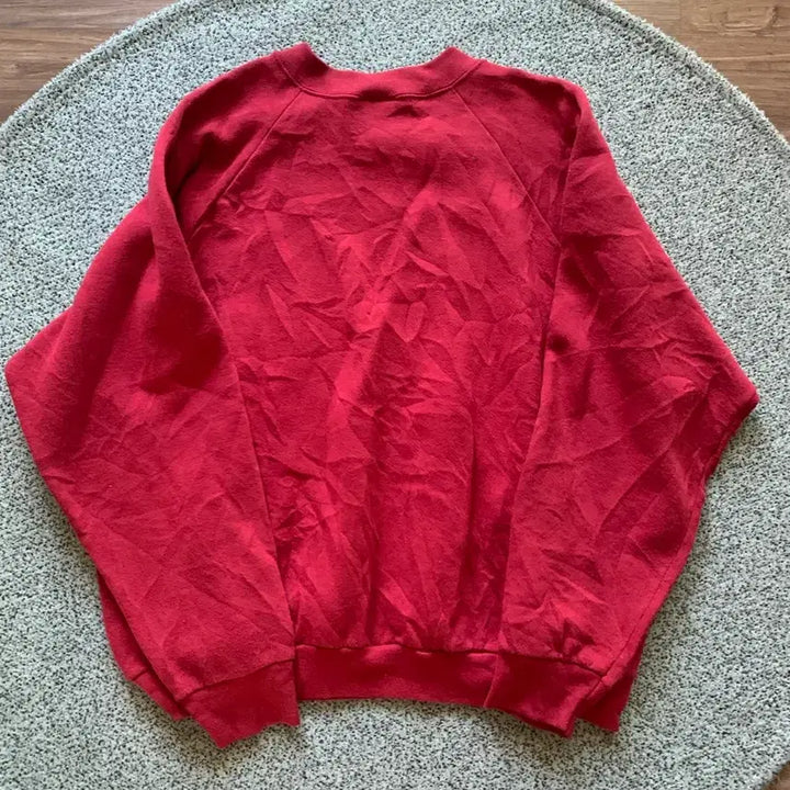 [SOLD OUT] 프룻오브더룸 빈티지 플레인 스웻
