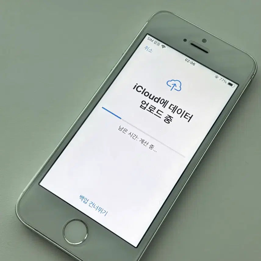 [BUNJANG] Apple iPhone SE 1st Gen Silver 32GB / 애플 아이폰 SE1 실버 32GB