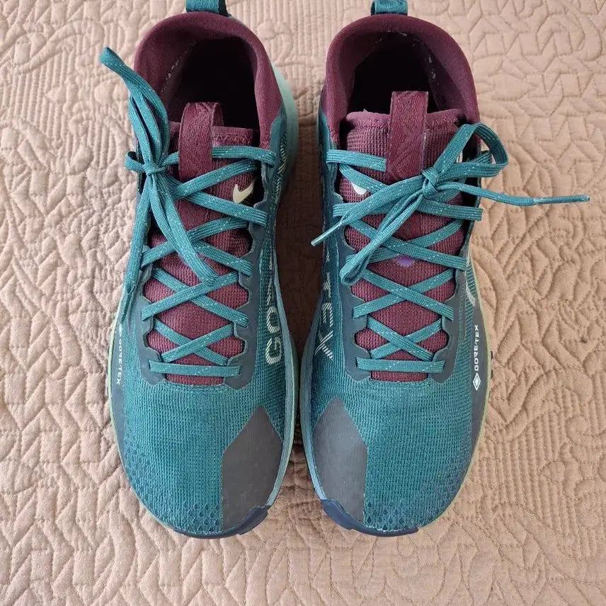 [BUNJANG] Nike Gore-Tex Trail Running Shoes 270 / 나이키 고어텍스 트레일 러닝화 운동화 270 [5077]