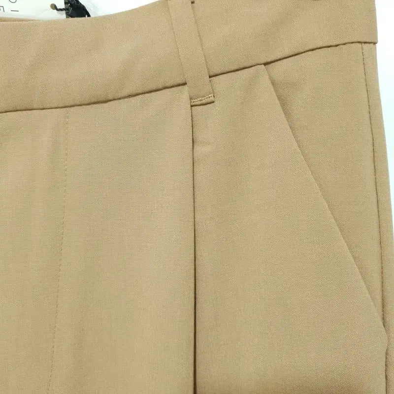 [BUNJANG] Zara Single Pleat Wide Leg Trousers / 자라 원턱 와이드 레그 슬랙스 S_M2492