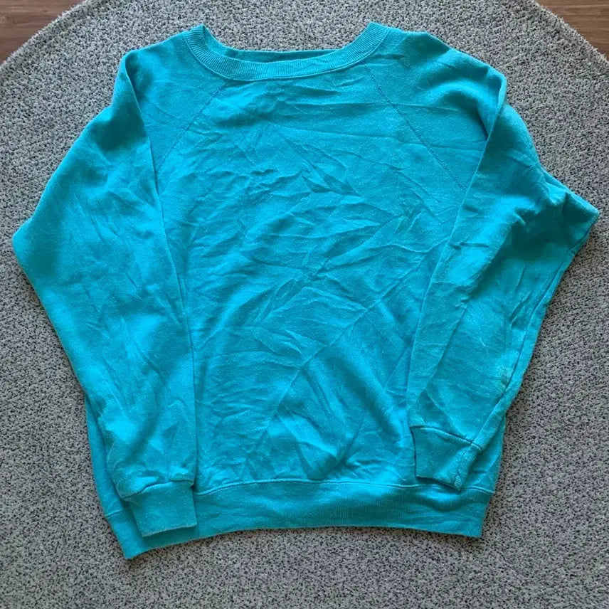 [BUNJANG] Heinz Vintage Plain Sweatshirt / 헤인즈 빈티지 플레인 스웻