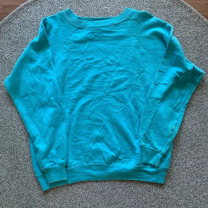 [BUNJANG] Heinz Vintage Plain Sweatshirt / 헤인즈 빈티지 플레인 스웻