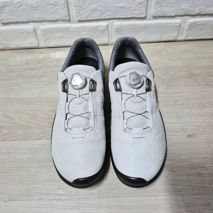 [BUNJANG] ECCO BIOM GORE-TEX Golf Shoes 275mm / 에코 바이옴 고어텍스 골프화 275mm
