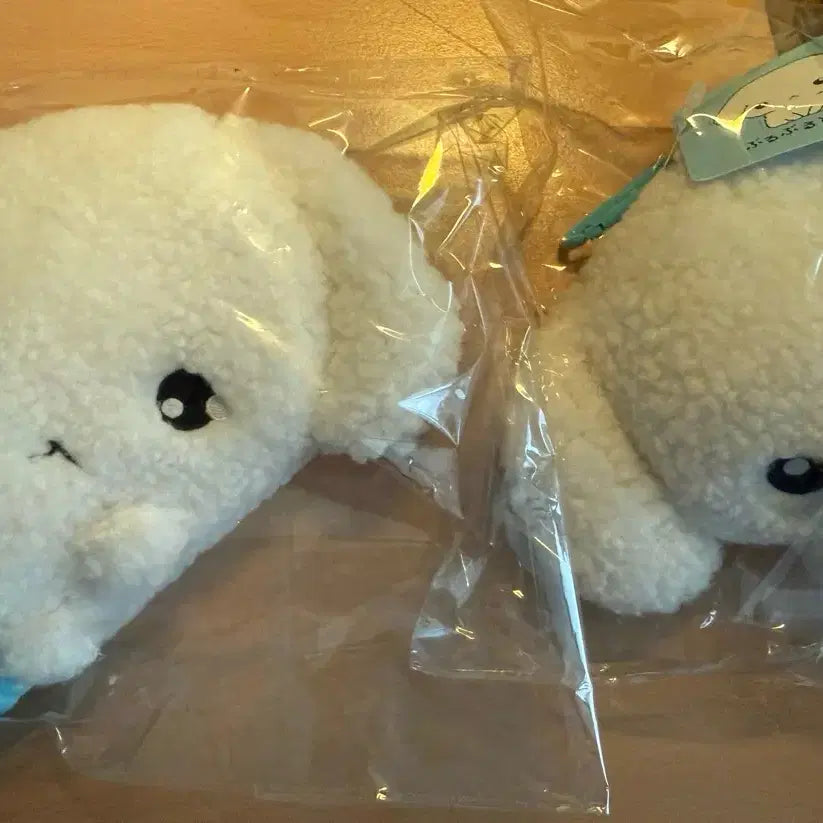 [BUNJANG] Buruburu Dog Plush Pouch (Sealed) / [미개봉] 부르부르도그 인형 파우치 일괄 판매합니다!