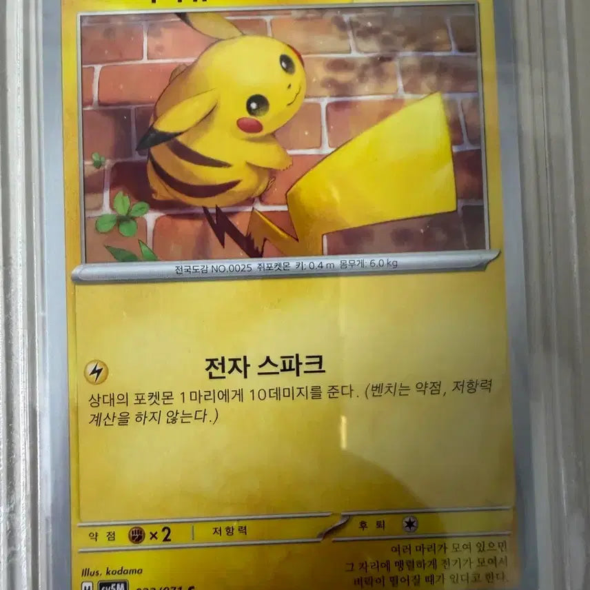 [SOLD OUT] 포켓몬 카드 피카츄