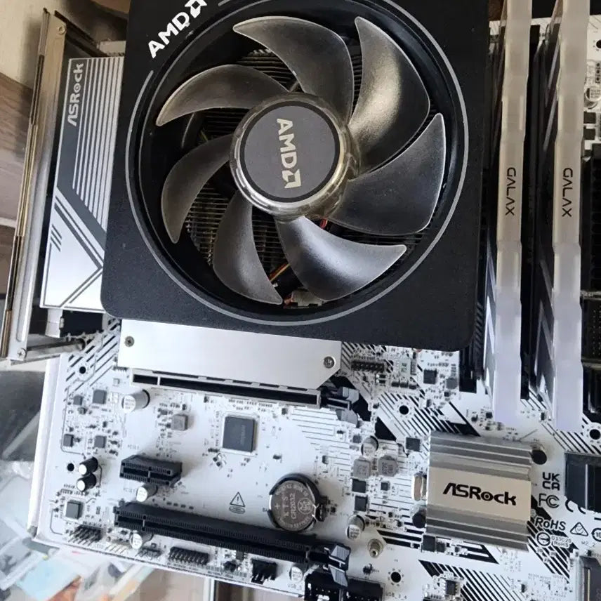 [SOLD OUT] 5600t b550m pro rs Hof ddr4 3600 8x8