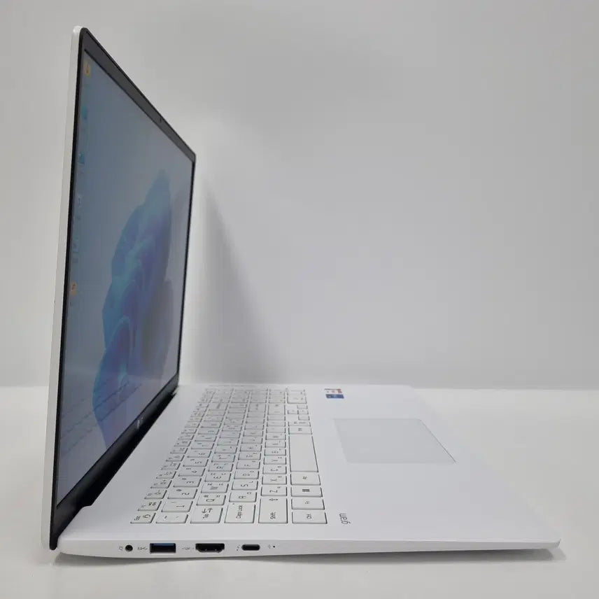 [SOLD OUT] LG 그램17 17Z95N-GP5GL i5 8GB 512GB 5