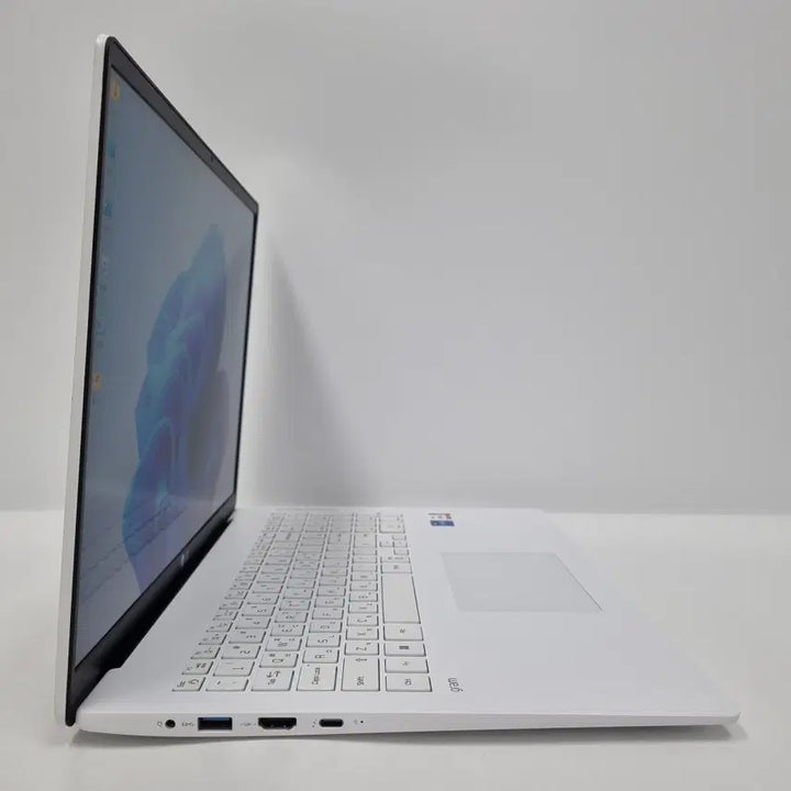 [SOLD OUT] LG 그램17 17Z95N-GP5GL i5 8GB 512GB 5