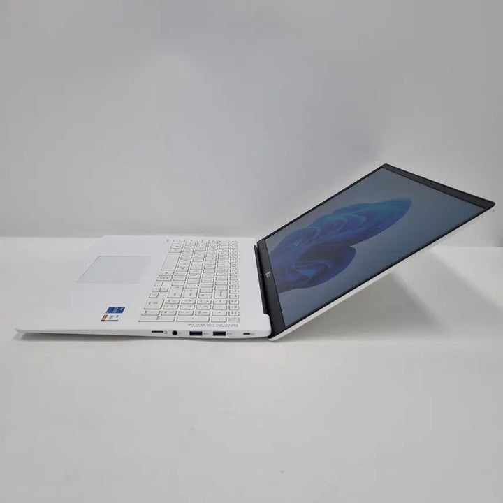 [SOLD OUT] LG 그램17 17Z95N-GP5GL i5 8GB 512GB 5