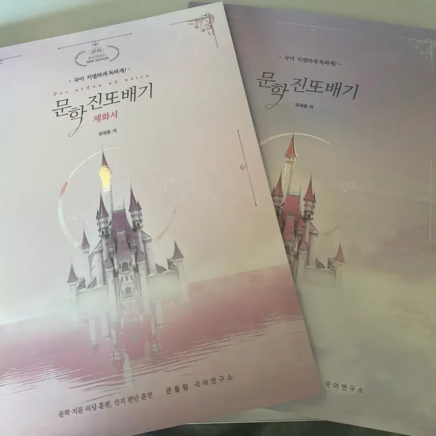 [SOLD OUT] 유대종 2027 진또배기 문학 (체화서 포함)