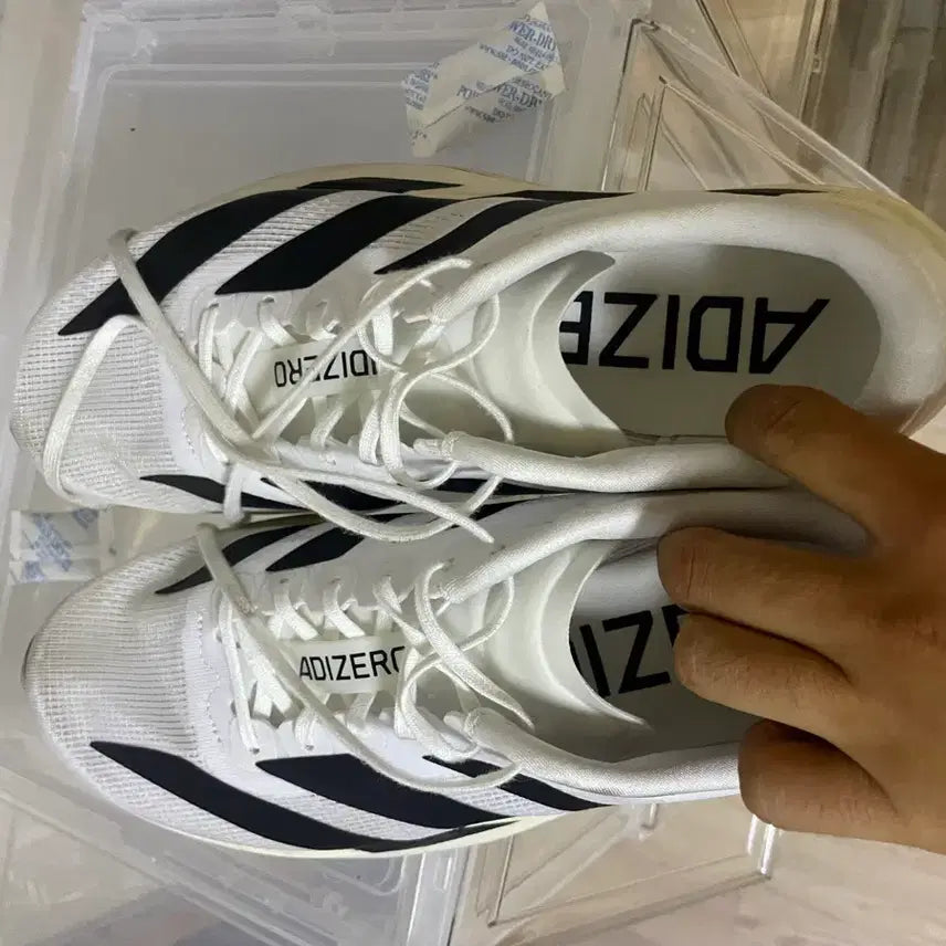 [BUNJANG] Adidas Adizero Evo SL Running Shoes / evo 에보 sl 265