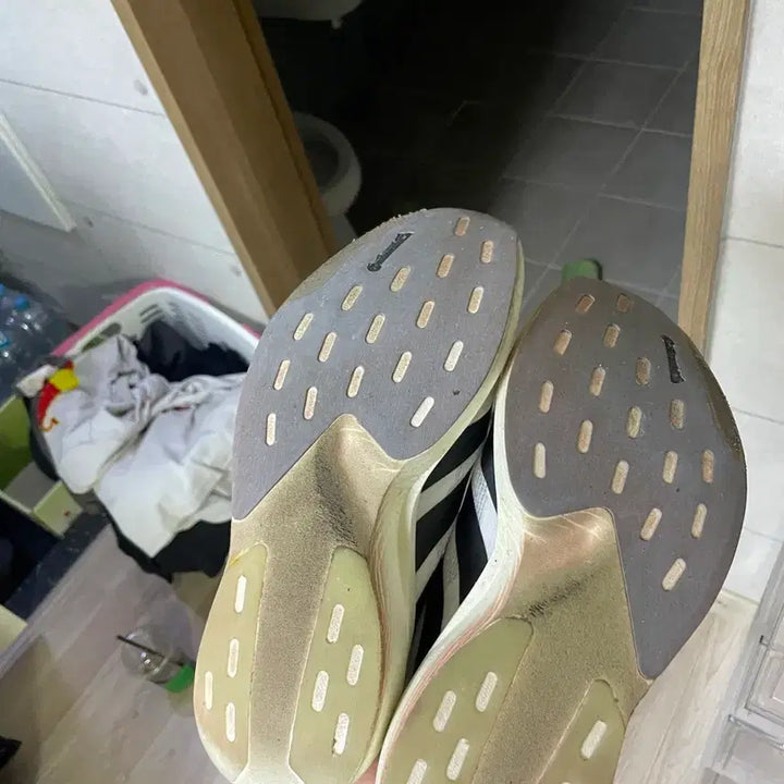 [BUNJANG] Adidas Adizero Evo SL Running Shoes / evo 에보 sl 265
