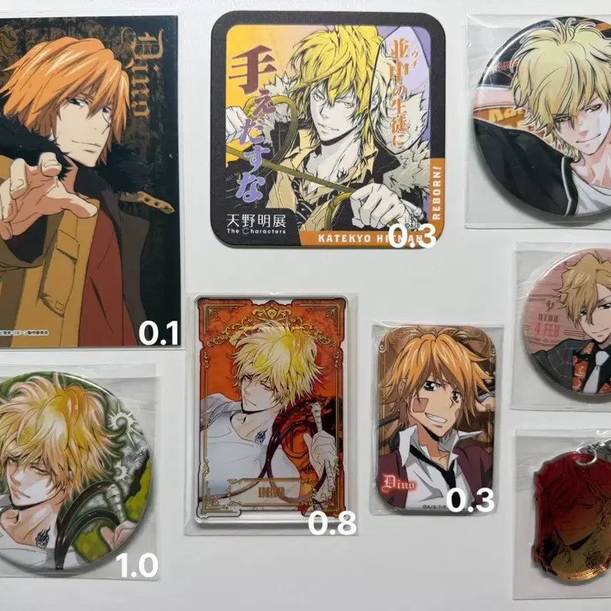 [BUNJANG] Katekyo Hitman Reborn! Dino Goods Collection (Keychain, Can Badge, Coaster) / 가정교사 히트맨 리본 가히리 디노 굿즈 모음 (키링,캔뱃지,코스터)