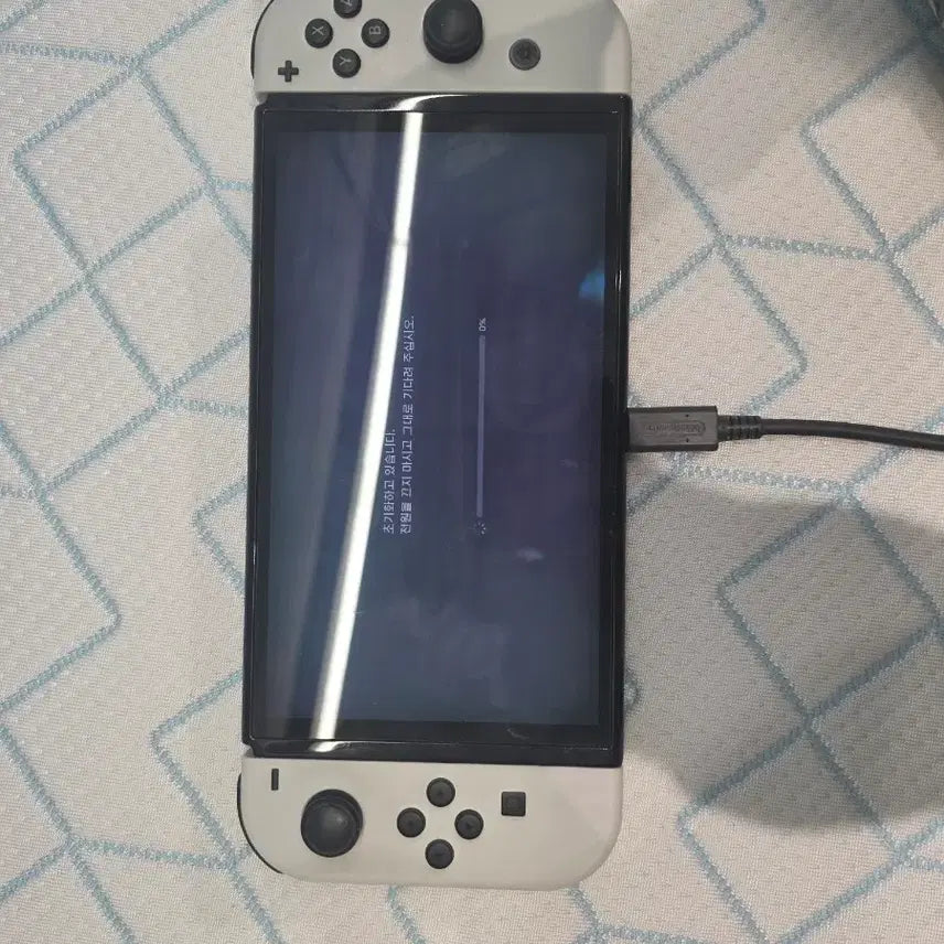 [BUNJANG] Nintendo Switch White / 닌텐도 스위치1 화이트