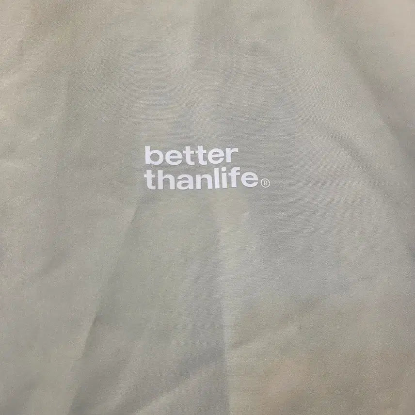 [BUNJANG] Better Than Life Sweatshirt / better than life 맨투맨 땀복 가47