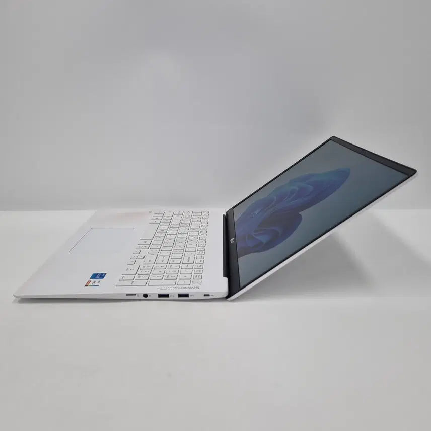 [BUNJANG] LG Gram 17 17Z95N-GP5GL Core i5 Laptop / LG 그램17 17Z95N-GP5GL i5 8GB 512GB 8