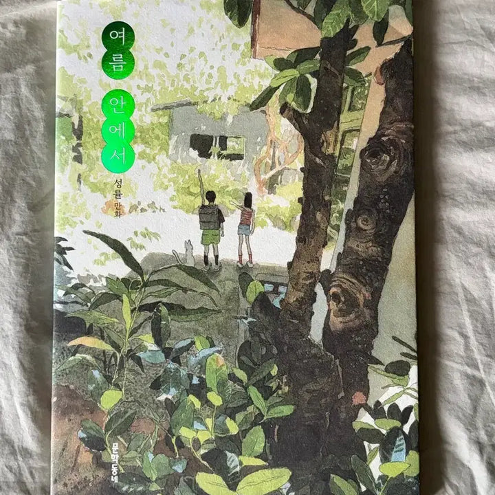 [SOLD OUT] 성률 여름 안에서