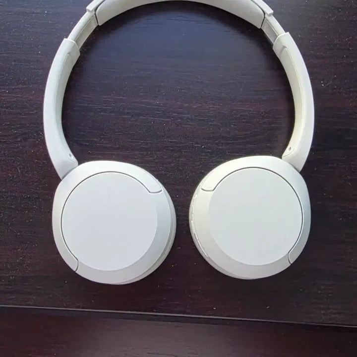 [SOLD OUT] 소니 wh-520(헤드셋)