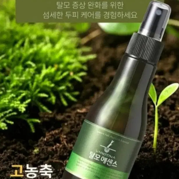 [SOLD OUT] 탈모에센스