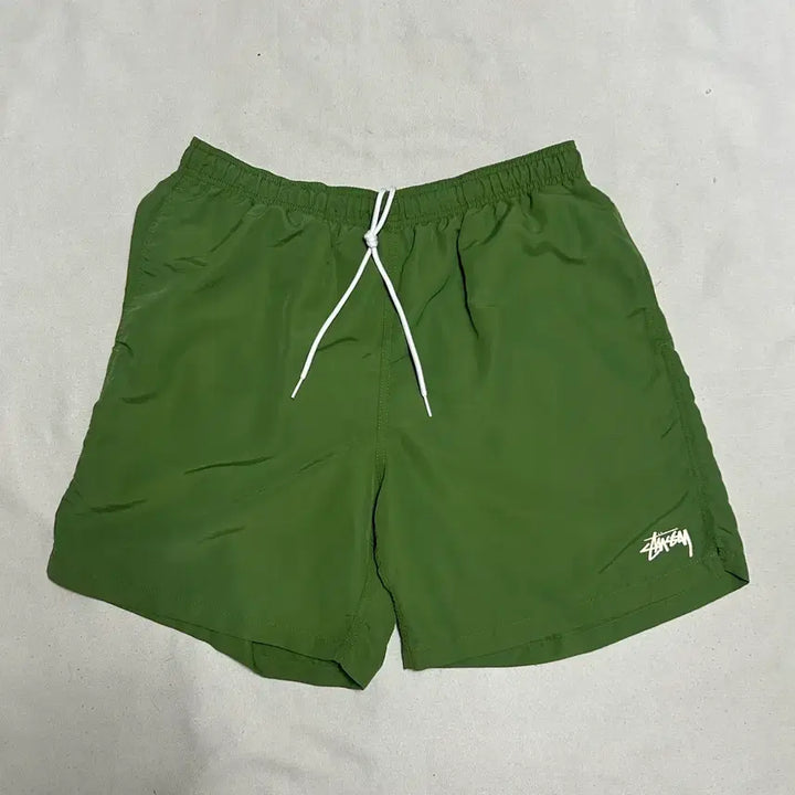 [BUNJANG] Stussy Shorts / L 스투시 숏 팬츠