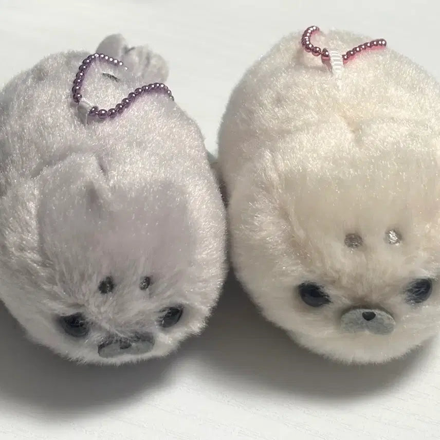 [BUNJANG] Fluffy Half Seal Plush Toy Gacha Bundle Set / 일괄) 복슬복슬 하프 물범 누이구루미 가챠