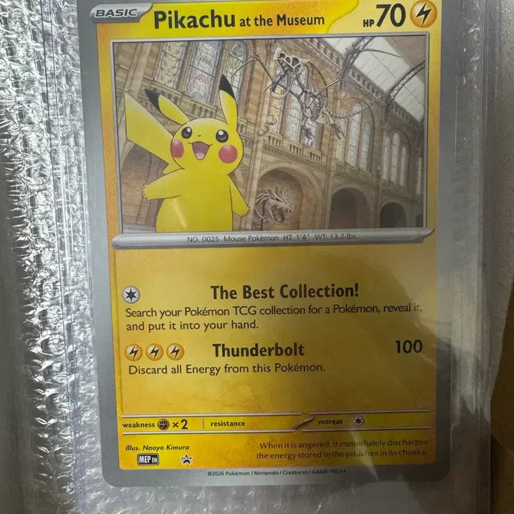 [BUNJANG] Pokemon Natural History Museum Pikachu Card / 포켓몬 자연사 박물관 피카츄