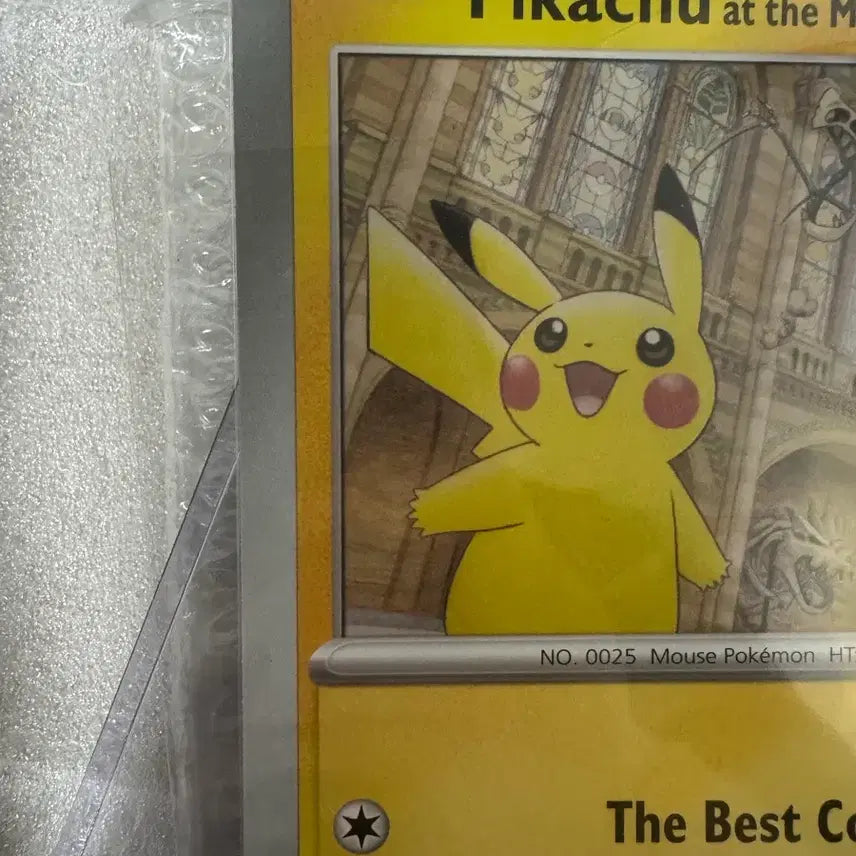 [BUNJANG] Pokemon Natural History Museum Pikachu Card / 포켓몬 자연사 박물관 피카츄