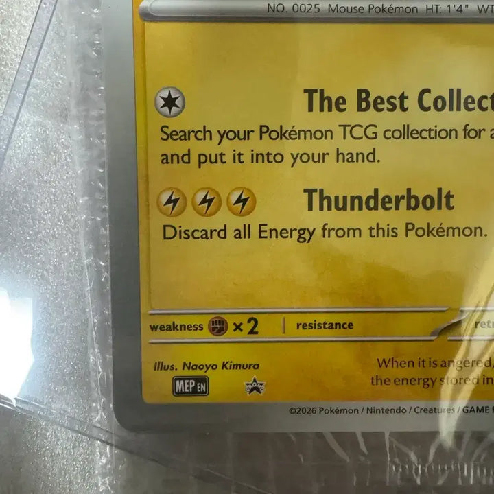 [BUNJANG] Pokemon Natural History Museum Pikachu Card / 포켓몬 자연사 박물관 피카츄