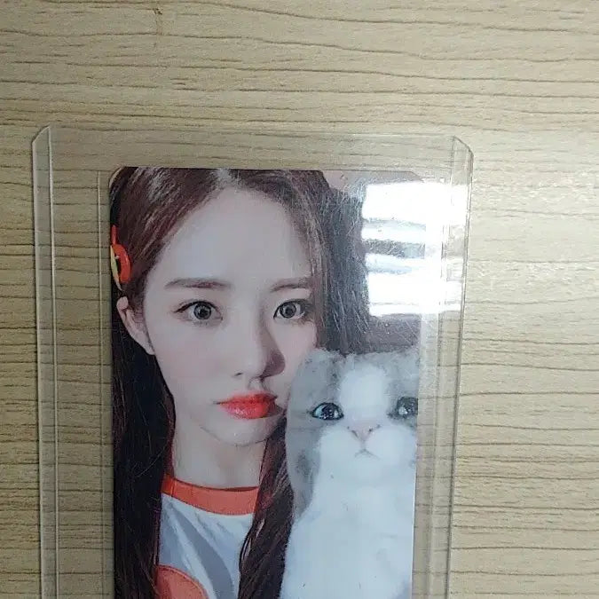 [BUNJANG] fromis_9 Jiwon Promise Fair 5th Round Photocard / 프로미스나인 박지원 약속회 5회