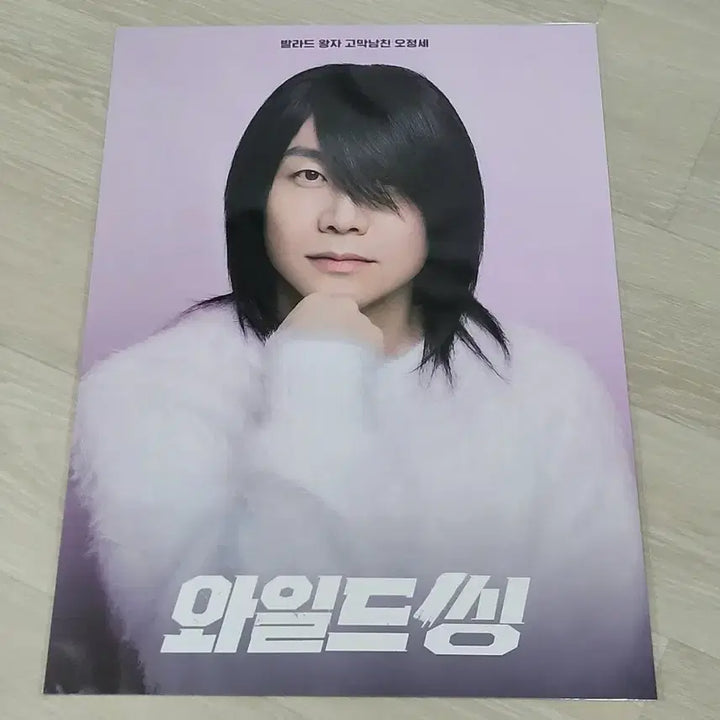 [BUNJANG] Wild Thing Poster 2 Types Set / [전용박스 안전포장] 와일드씽 포스터 2종 세트